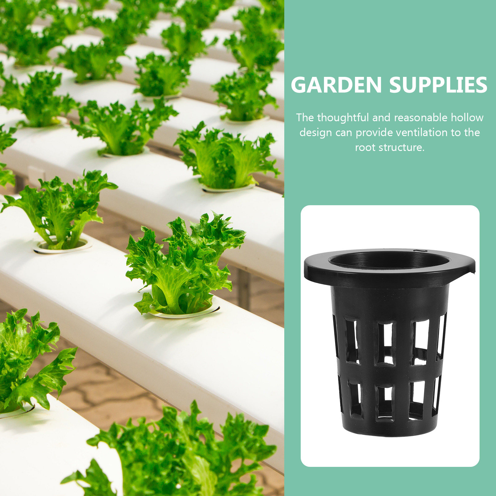 50Pcs Plastic Planting Baskets - Gardening Tools Vegetables review and price
