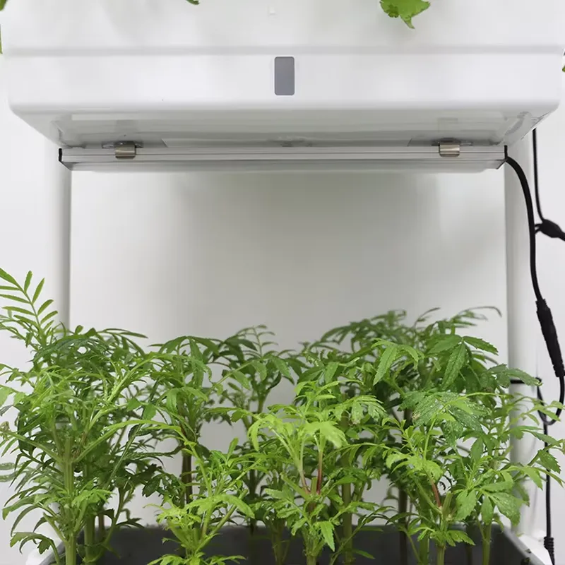Movable Vertical Grow 3 Level  - Self-Watering Planter review and price