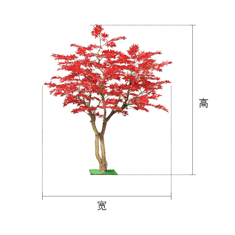 Red maple tree floor-to-ceilin - Gardening Hand Tools Japanese review and price