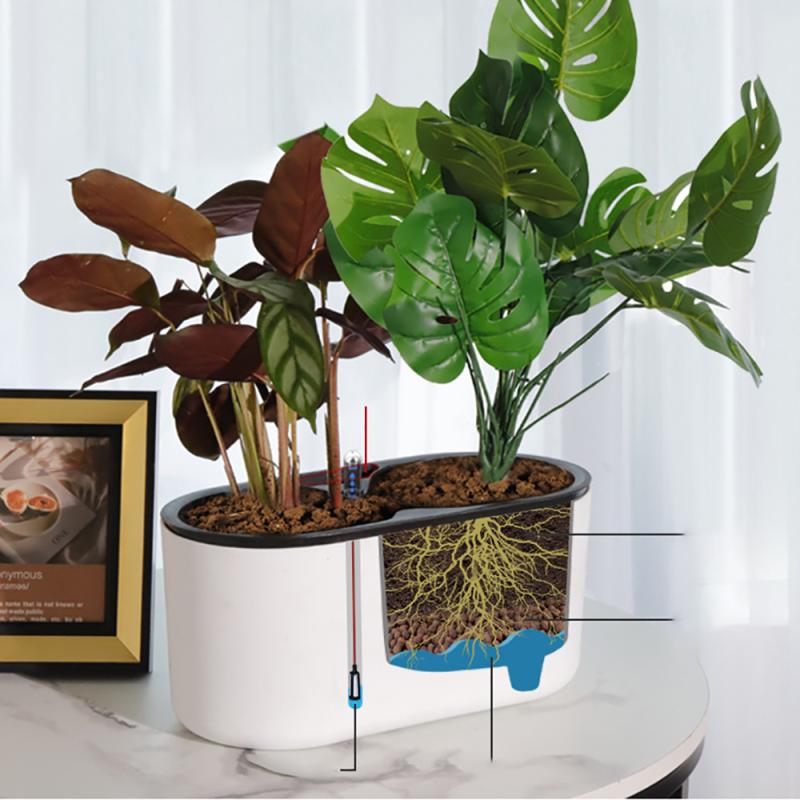 Indoor Plant With Indicator Wo - Automatic Plant Waterer review and price