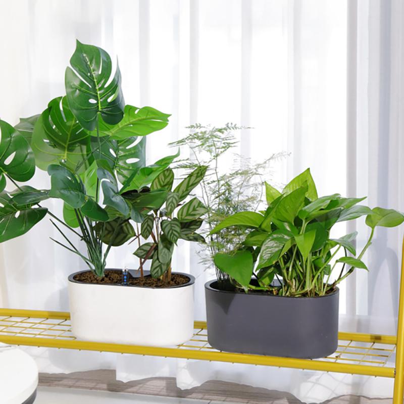 Indoor Plant With Indicator Wo - Automatic Plant Waterer review and price